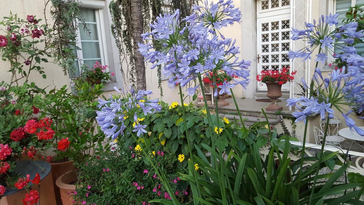 La Belle Vie B&B Montréal Exteriör bild