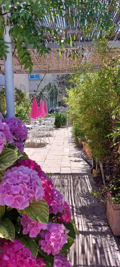 La Belle Vie B&B Montréal Exteriör bild